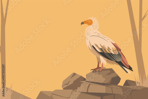 Majestic white vulture perched on rocky outcrop in desert landscape, wildlife conservation concept