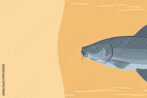 Gray fish swimming in water with detailed scales and fins, aquatic wildlife concept