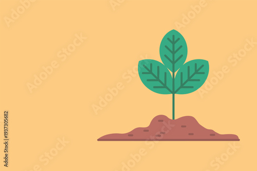 Young plant growing in fertile soil with green leaves, plant growth concept