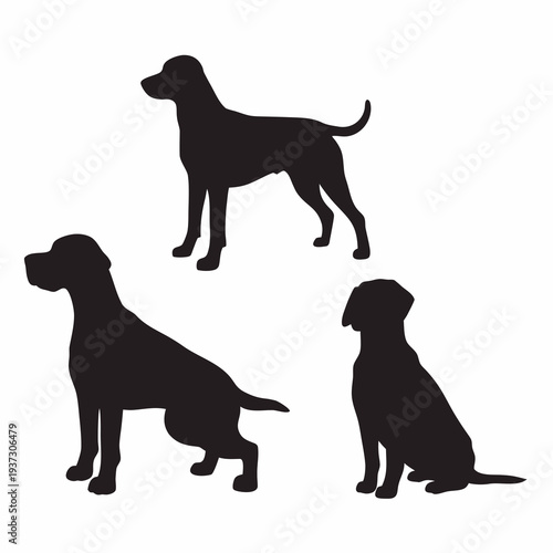 Three dog silhouettes in various poses