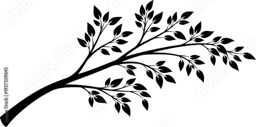 Black silhouette of a tree branch with leaves on a white background