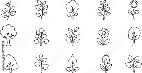 Collection of various plant and flower line drawings