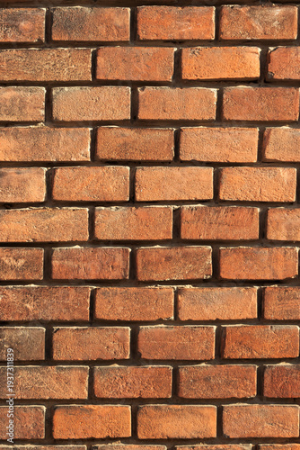 Close-up of a red brick wall showing rough texture, mortar lines and warm sun...