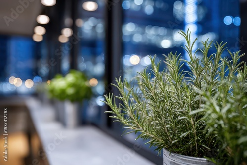 Close-up shot of rosemary and other herbs in pots, with blurred city lights in the background providing a contrast between nature and urban landscape with bokeh effect.