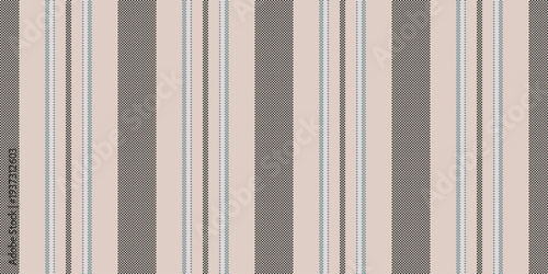 Voat fabric vertical stripe, oriental textile background seamless. Rrungy vector pattern texture lines in light and black colors.
