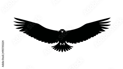 A black silhouette illustration of an eagle or hawk with spread wings on a white background