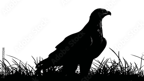 A grayscale silhouette depicts a raptor standing amidst grass, with strong contrast against a white backdrop