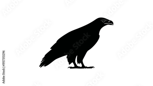 A black silhouette of a bird of prey, depicted standing, with head turned, and detailed claws