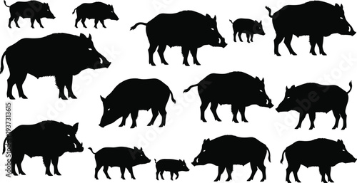 Wild boar silhouette set, forest hog and pig vector collection, cad drawing flat vector illustration, swine farm animal design elements