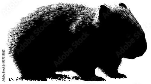 Silhouette of a compact, furry animal with short legs, depicted against a white background