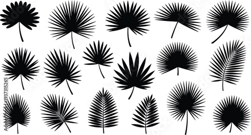 Collection of various black palm tree silhouettes on white background