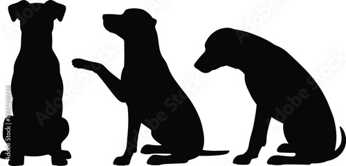 Dog silhouettes sitting illustration, canine posture, animal behavior concept, pet training, obedience gesture, domestic dog poses, animal communication, companion