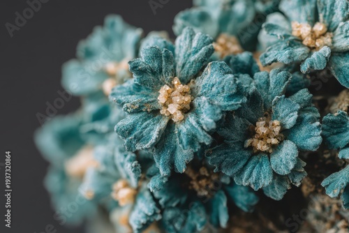Detailed macro shot of a bouquet of blue flowers with rough textures and yellow centers, showcasing delicate botanical details and artistic composition.