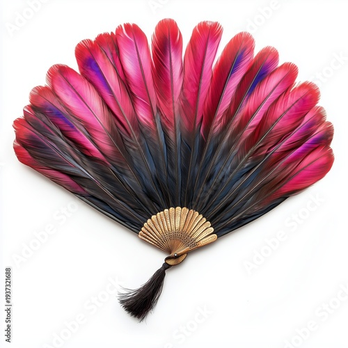 Colorful Feather Fan Displayed on a White Background Showing Vibrant Pink and...
