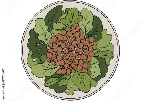 A plate of fresh green salad with tomatoes.