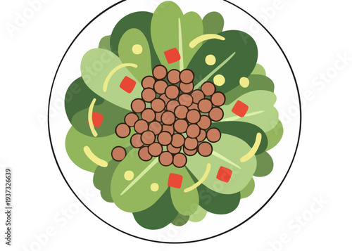 A plate of healthy green salad.