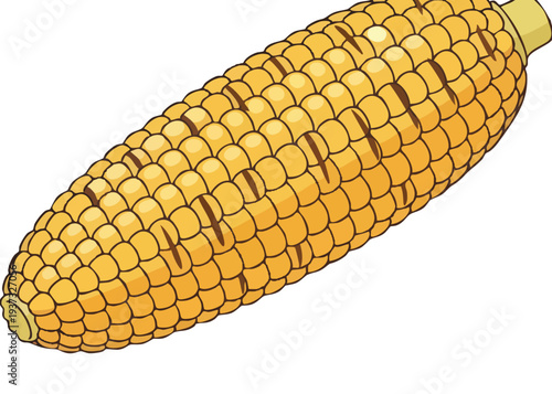 A single yellow corn on the cob.