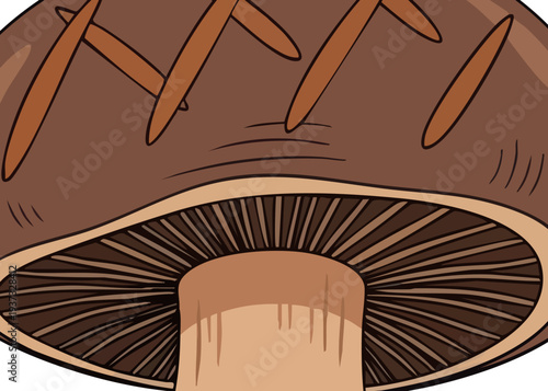 Detailed illustration of a brown mushroom cap with gills and stem.