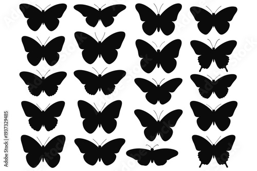 Collection of black butterfly silhouettes in different wing positions and sizes Keywords: butterfly, silhouette, insect, flying