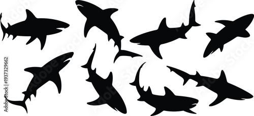 Collection of eight black shark silhouettes in various dynamic poses on a white background animal ocean