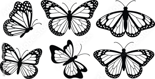 Collection of six black and white monarch butterfly silhouettes in various poses Keywords: butterfly, monarch butterfly, insect