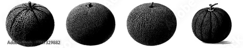 Mystic Melon: The Art of Black and White Texture