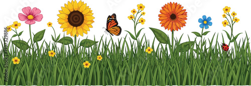 Summer garden meadow border with green grass sunflowers butterflies and colorful wild flowers for nature background spring landscape and outdoor environmental design