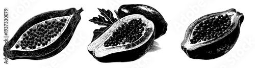 Silhouette of a papaya fruit, cut open to reveal seeds