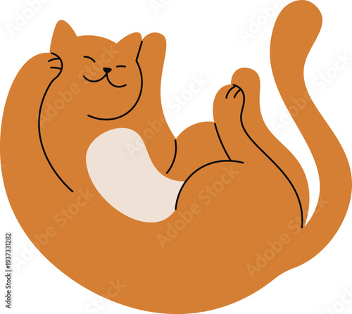 Cat playing color doodle. Pet lay on back