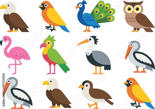 Colorful cartoon bird collection, flat animal icon set including eagle, toucan, peacock, owl, flamingo, parrot, pelican illustration