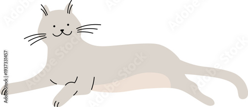 Laying cat color doodle. Relaxing animal pet