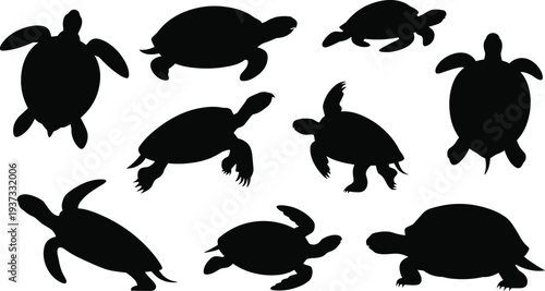 Silhouettes of Sea Turtles in Various Poses on White Background marine life animal