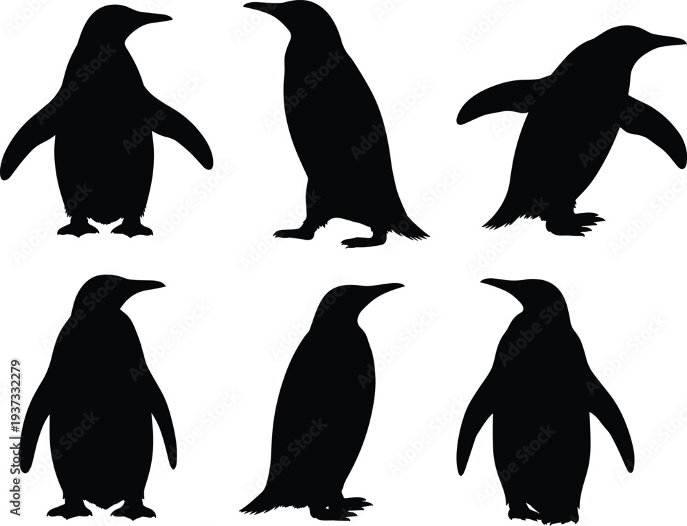 Obraz premium Six black silhouettes of penguins in various poses on a white background bird animal