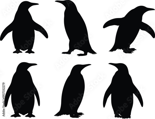 Six black silhouettes of penguins in various poses on a white background bird animal