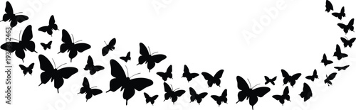 Swirling Black Butterfly Silhouettes Forming a Curved Border on White butterflies swarm