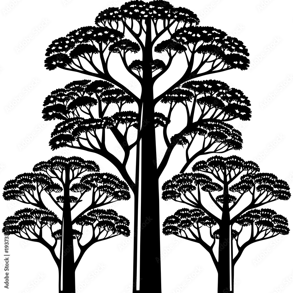 Obraz premium Tall layered trees vector illustration with black silhouettes on white background for design and decoration