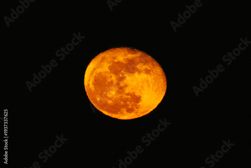 Fotografie A vast crimson full moon glows intensely, suspended within the profound depths of the inky black night sky