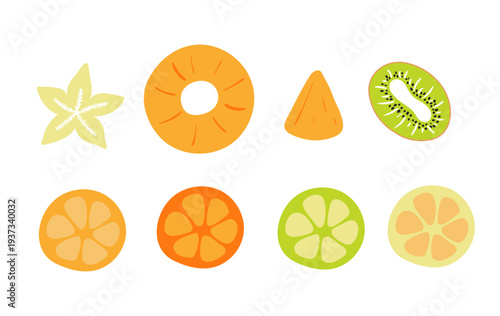 Tropical, citrus fruit slice illustration isolated set. Seasonal fruit, food, summer holidays, vacations, resort, healthy snack. Flat design element, clip art collection, hand drawn vector