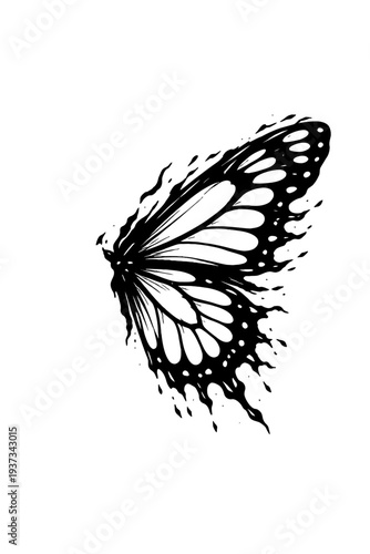 black and white butterfly illustration with white background and abstract design
