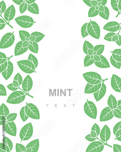 Mint leaves background, pattern set. Collection mint leaves icons. Vector
