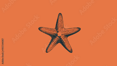 A detailed illustration of a starfish, rendered in a vintage style, against a warm orange backdrop