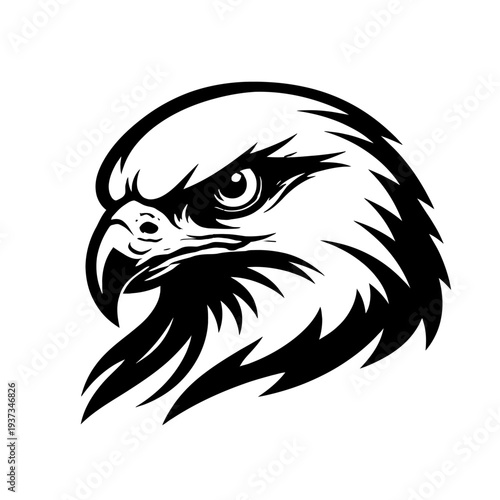 Eagle head illustration, bird of prey, sharp eyes, fierce gaze, black and white artwork, wildlife symbol, majestic creature, sharp beak, feathers, graphic design, animal logo, predatory bird, nature i