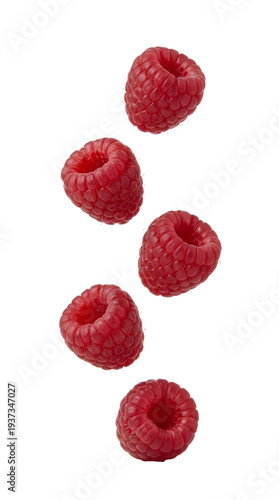 Fresh raspberries falling ripe sweet fruit