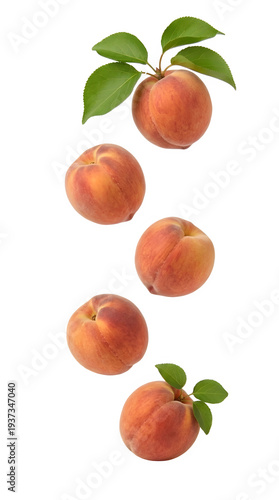 Fresh peaches falling with leaves on transparent background