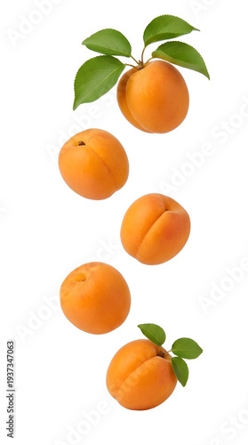 Fresh apricots with green leaves falling on transparent background