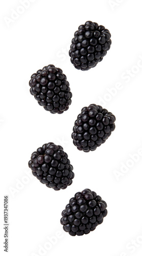 Fresh ripe blackberries falling on transparent background