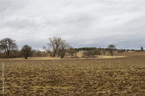 Landschaft im Winter ohne Schnee