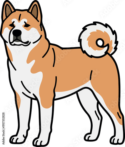 Flat design three quarter view shiba inu standing with curled tail looking at camera simple line art friendly background portrait