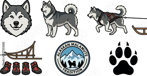 Flat design alaskan malamute sticker set with head portrait full body dog pulling sled harness boots paw mountain badge emblem
