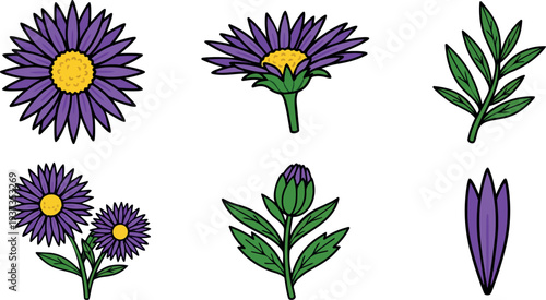 Flat design purple aster vector set showing six floral elements close up side view top detailed bud and leaf illustrations